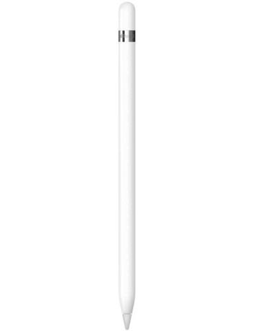 Apple Pencil 1Gen per iPad + Adattatore USB-C MQLY3ZM/A