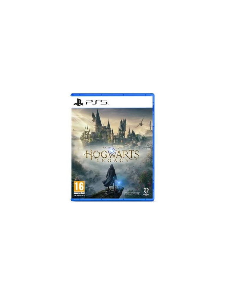 PS5 Hogwarts Legacy